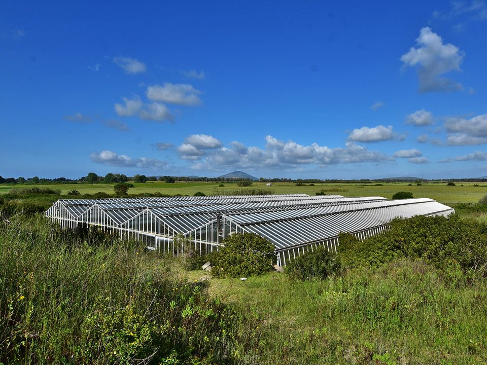Farm hus i Olmedo, Sassari - foto 3